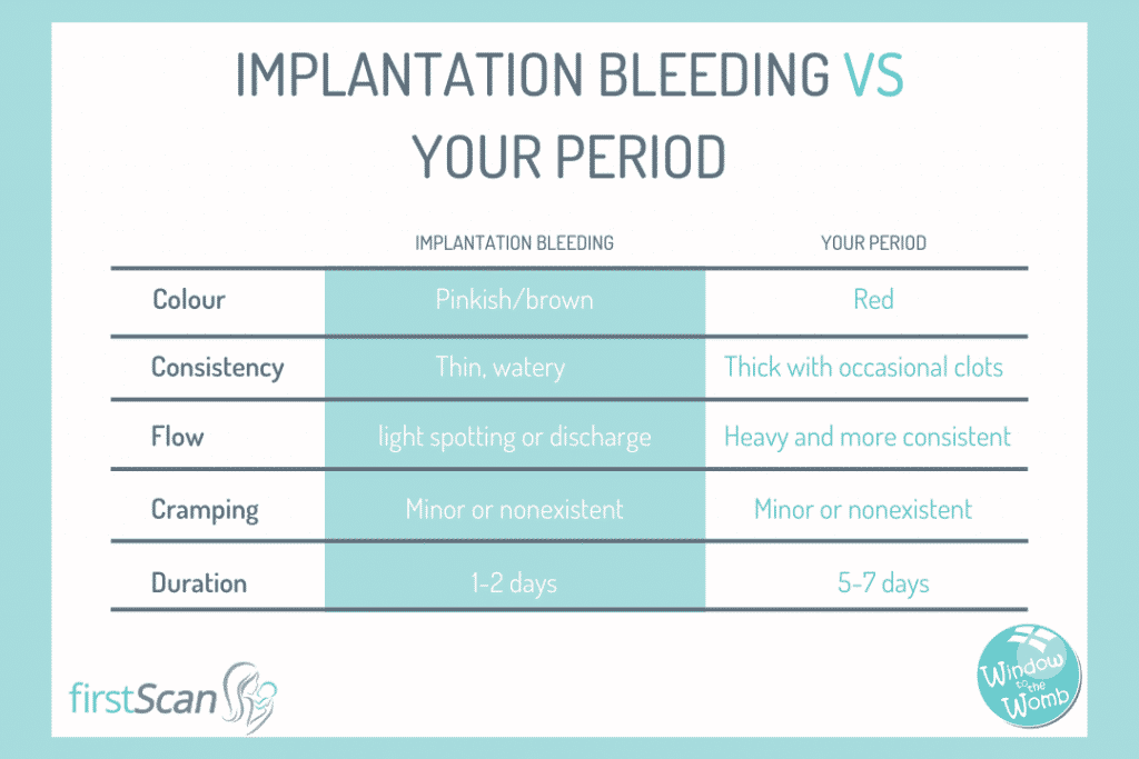 implantation-bleeding-in-early-pregnancy-window-to-the-womb