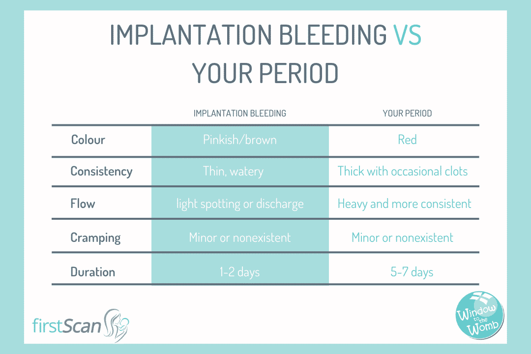 Implantation Bleeding In Early Pregnancy - Window to the Womb