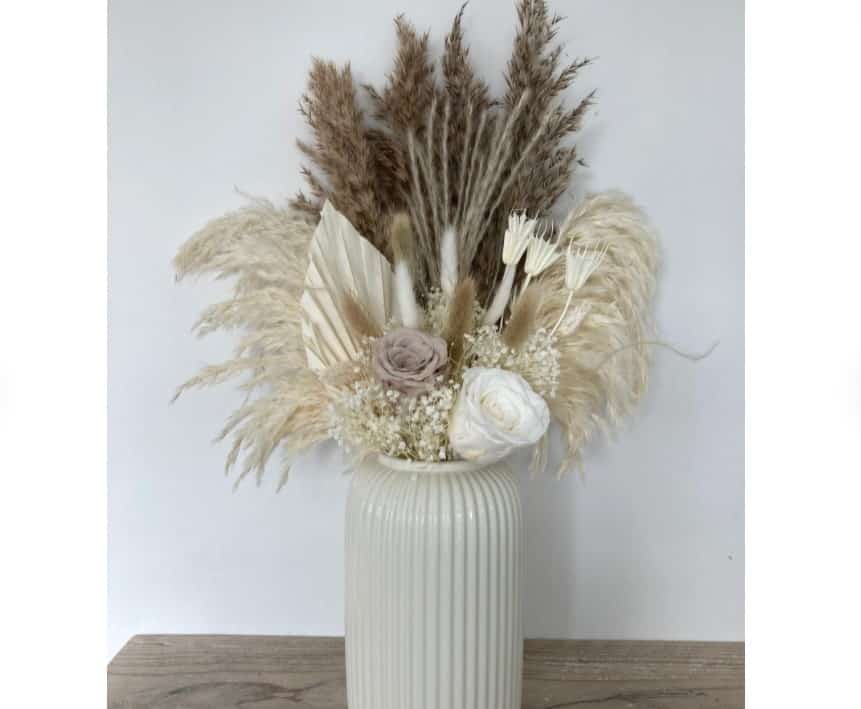 Norfolk Pampas Gift For Mother's Day